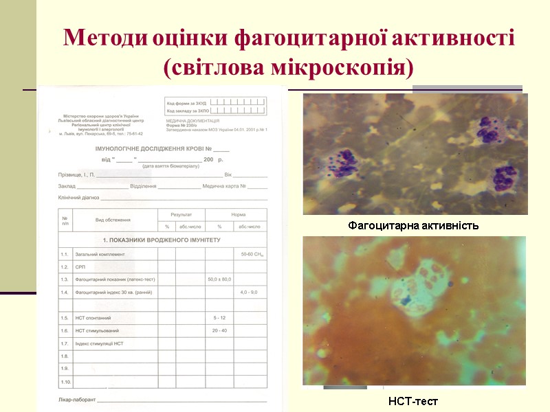 Методи оцінки фагоцитарної активності (світлова мікроскопія) Фагоцитарна активність НСТ-тест